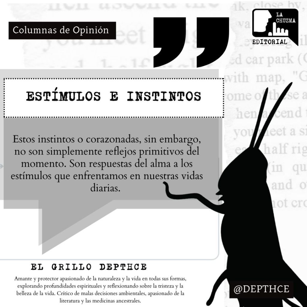 ESTÍMULOS E INSTINTOS