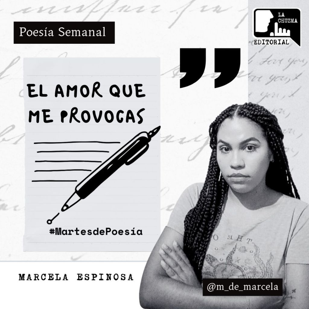 EL AMOR QUE ME&nbsp;PROVOCAS