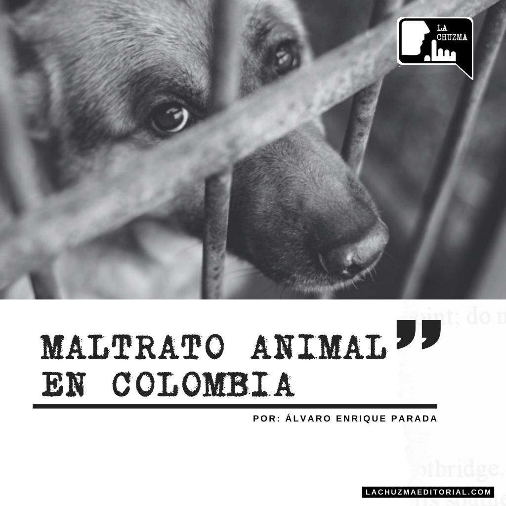MALTRATO ANIMAL EN&nbsp;COLOMBIA