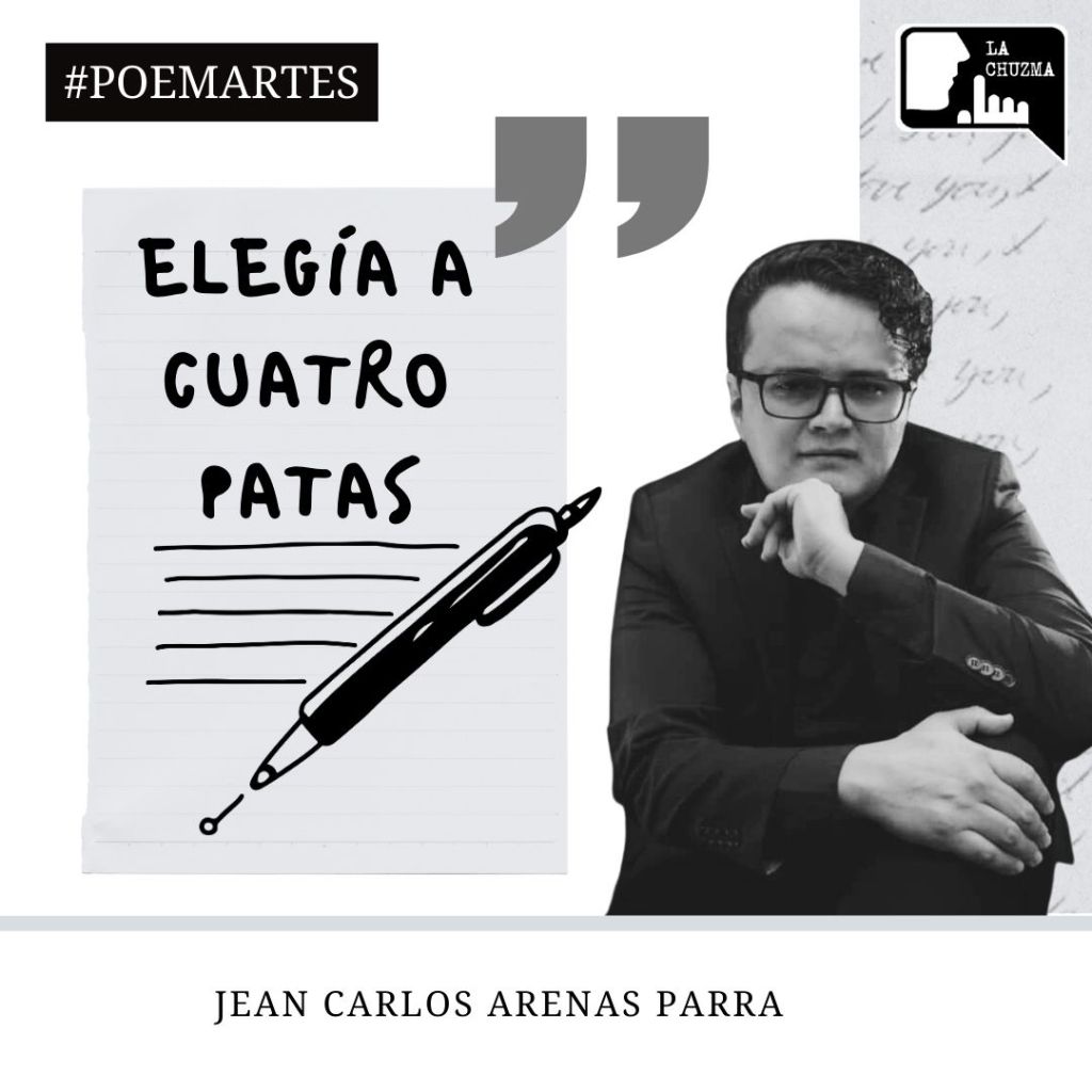 ELEGÍA A CUATRO&nbsp;PATAS