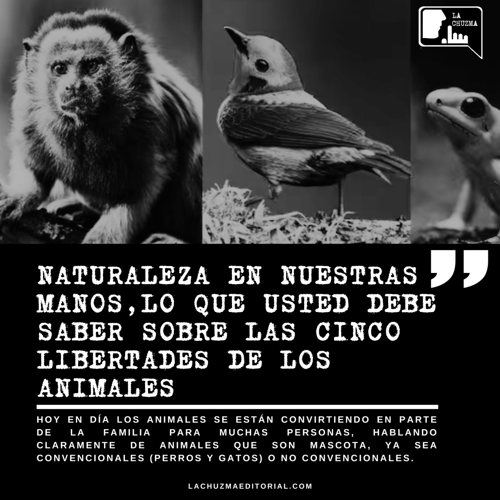 NATURALEZA EN NUESTRAS MANOS,LO QUE USTED DEBE SABER SOBRE LAS CINCO LIBERTADES DE LOS&nbsp;ANIMALES.