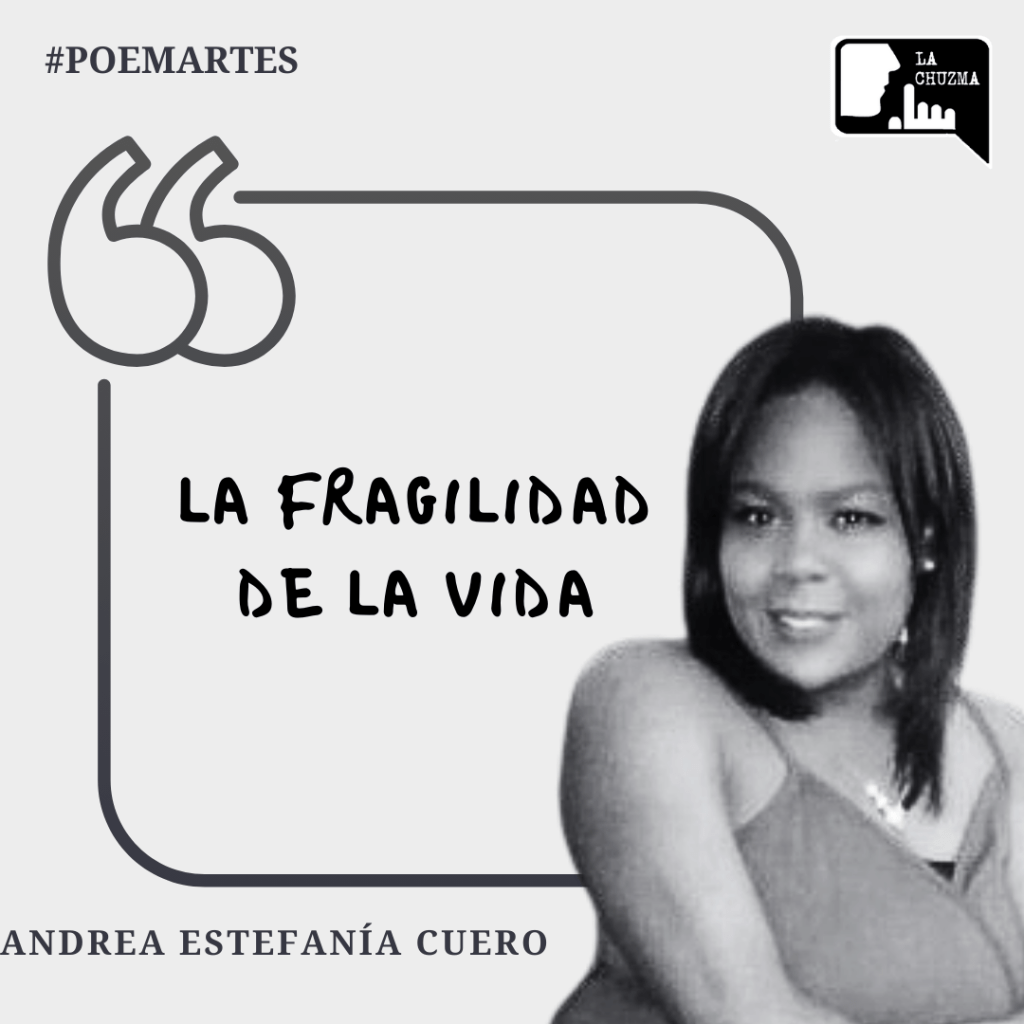 LA FRAGILIDAD DE LA&nbsp;VIDA