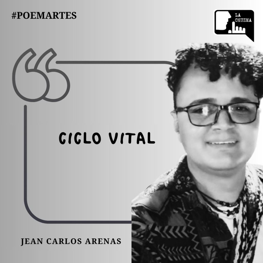 CICLO VITAL